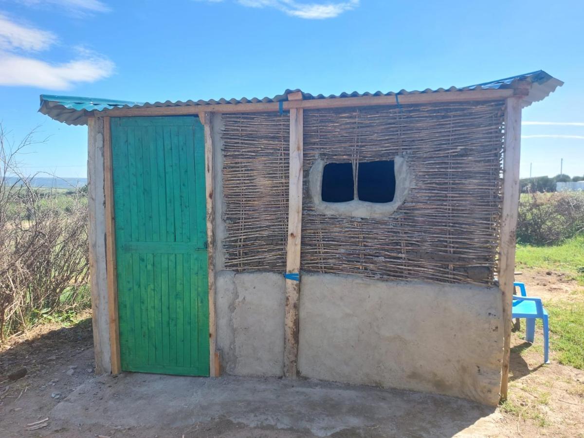 Maasai Homestay Camping Sekenani Εξωτερικό φωτογραφία